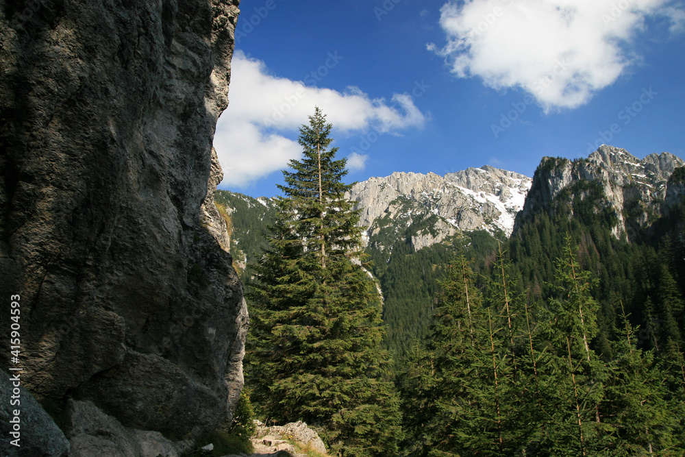 Landscape of Koscieliska Valley, Tatra Mountains, Poland