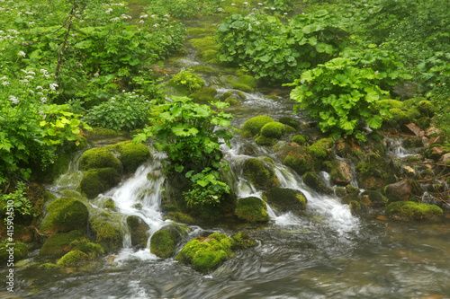 Stream in Koscieliska valley  Tatra Mountains  Poland