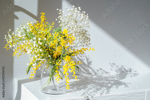 Acacia dealbata, silver wattle or yellow mimosa flower with white gypsophila in glass vase on white home interior. Authentic photo. Women's day, mother's day. Spring time. Hard shadows