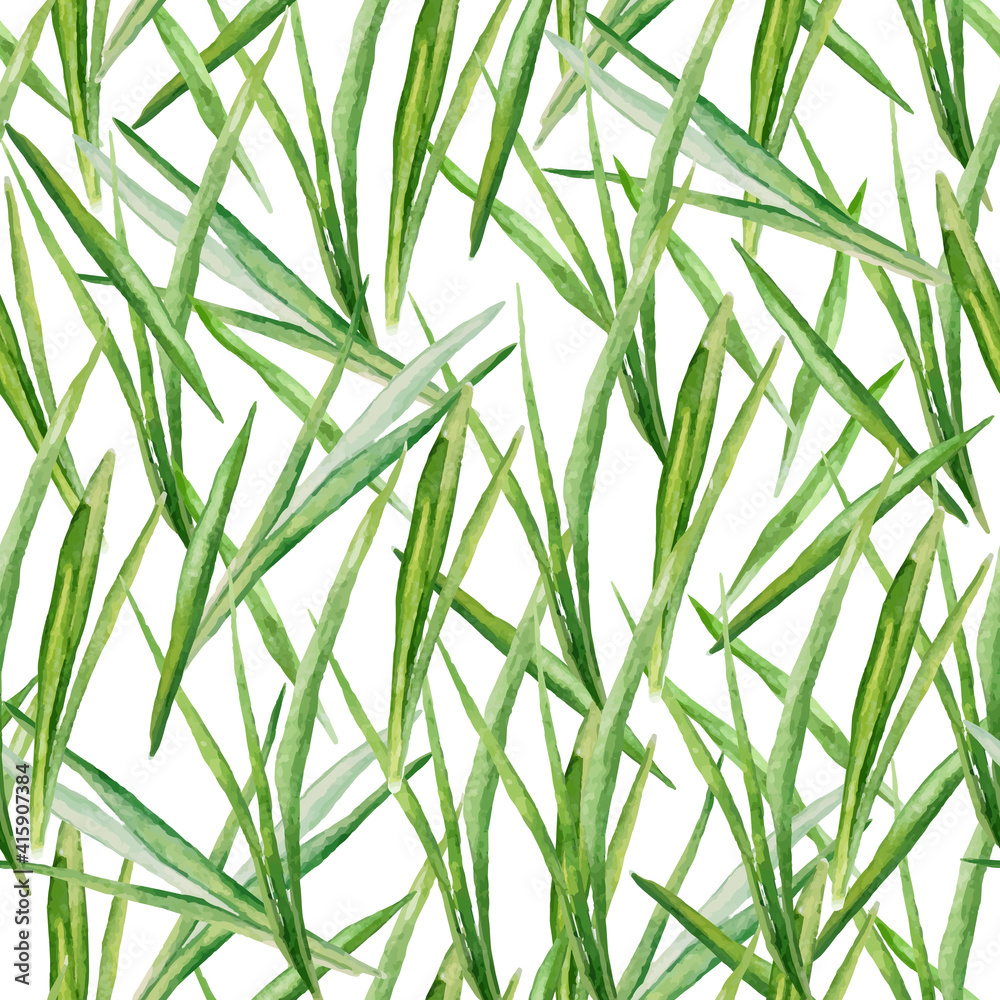 Fototapeta premium Vector seamless pattern with watercolor green grass. A repeating background with the green leaves on white