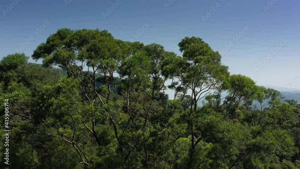 sunny day taipei city famous mountain park greens aerial panorama 4k taiwan