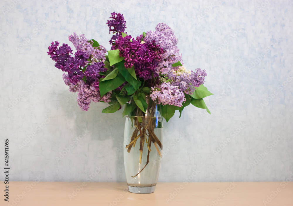 Bouquet of lilac flowers in a transparent tall vase in the interior. Spring purple and violet flowers. Still Life Lilacs or Syringa vulgaris in Latin. Bouquet of lilac flowers in a transparent tall vase in the interior. Spring purple and violet flowers. Still Life Lilacs or Syringa vulgaris in Latin.