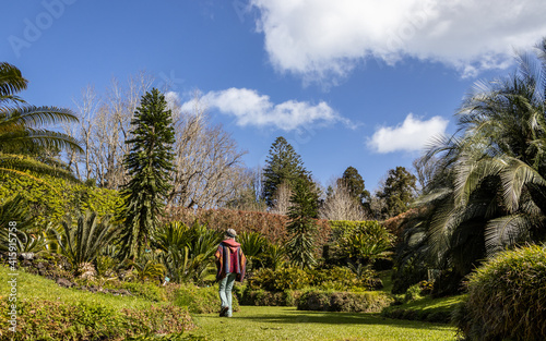 Woman walking in Terra Nostra park, cyca plants, Furnas.