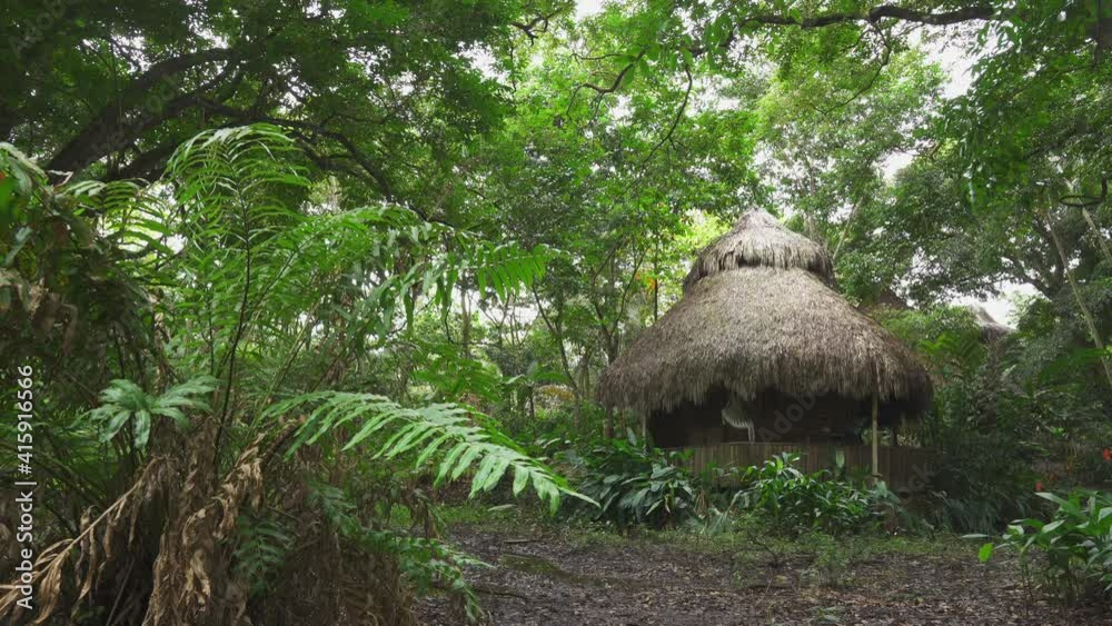A hut with a thatched roof in a rainforest among green plants and trees. Solitude in nature, meditation and retreat A hut with a thatched roof in a rainforest among green plants and trees. Solitude in nature, meditation and retreat
