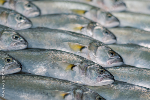 Full-screen raw bluefish (Pomatomus saltatrix) texture with selective focus photo