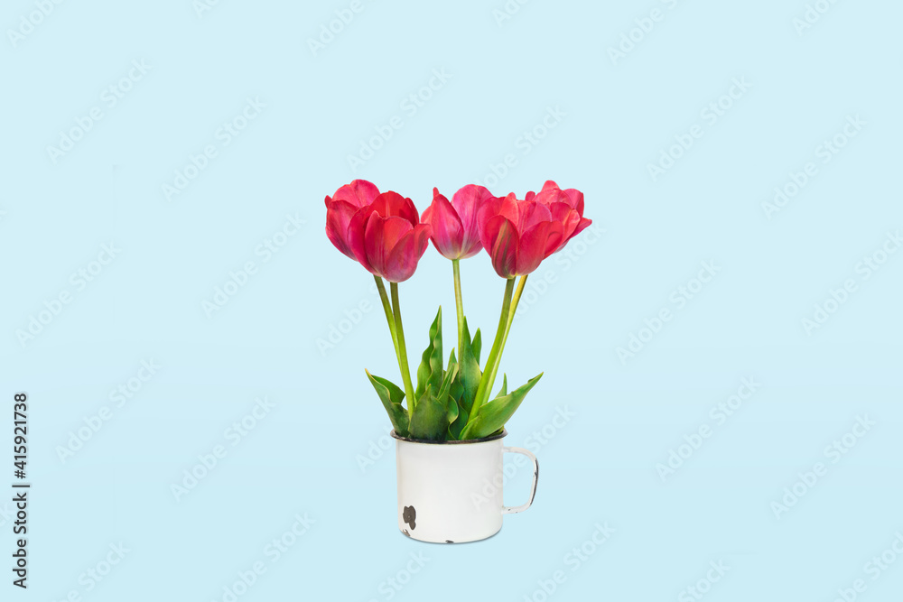 Beautiful spring bouquet of five red tulip flowers Beautiful spring bouquet of five red tulip flowers