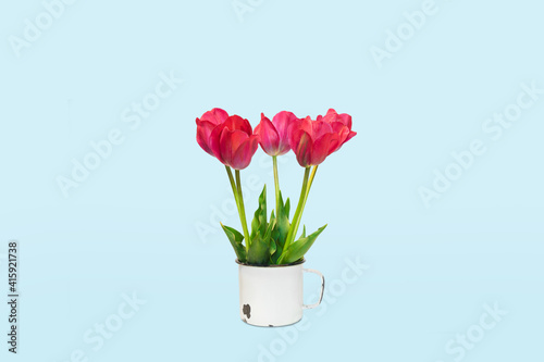 Wallpaper Mural Beautiful spring bouquet of five red tulip flowers Torontodigital.ca