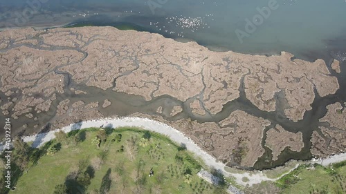 Video image of Çakalburnu Lagoon and Flamingos in İzmir