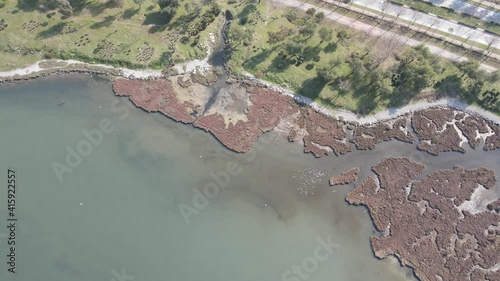 Video image of Çakalburnu Lagoon and Flamingos in İzmir