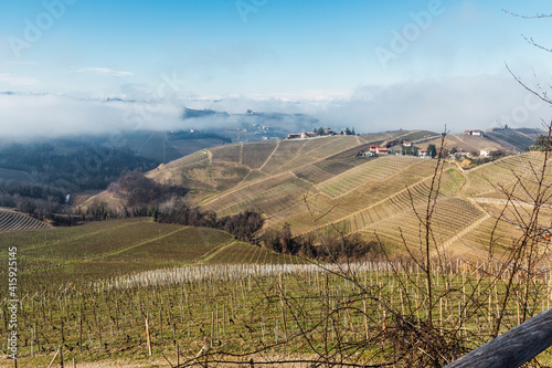Panoramic view of hills with vineyards