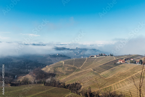 Panoramic view of hills with vineyards
