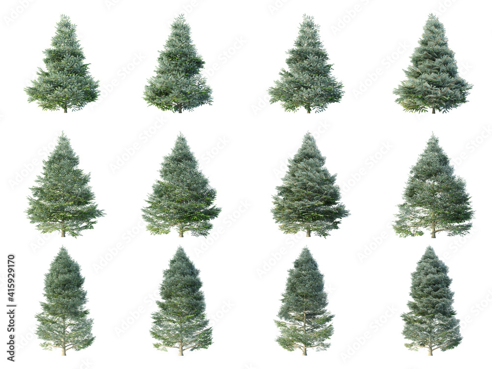 Korean fir trees on white background. Abies Koreana isolates collection season. (3D illustration with Clipping path)