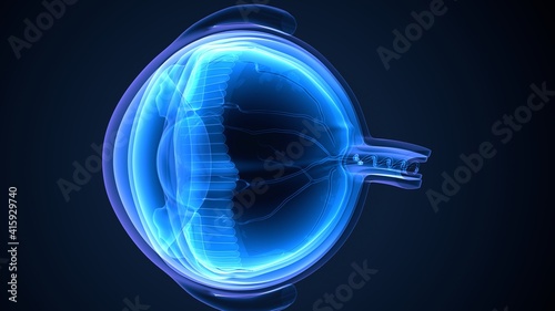 Fotografía 3d illustration of human body organ eye anatomy