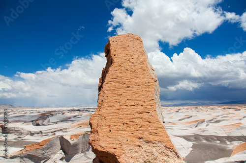 El Área natural protegida Campo de Piedra Pómez se encuentra en el departamento Antofagasta de la Sierra, en la provincia de Catamarca, Argentina. photo