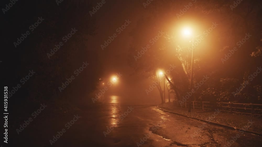 Beautiful misty evening on empty street outdoors. Mysterious autumn night with thick fog. Cold weather. Urban landscape.