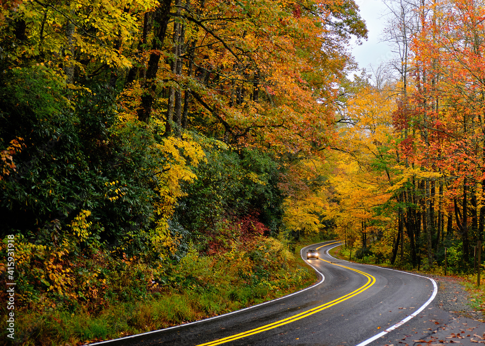 A car driving along a curving road on a rainy day in the mountains of North Carolina. It is autumn, so the leaves are bright orange and yellow. The photo is really colorful. 