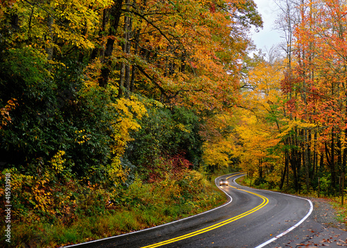 A car driving along a curving road on a rainy day in the mountains of North Carolina. It is autumn  so the leaves are bright orange and yellow. The photo is really colorful. 