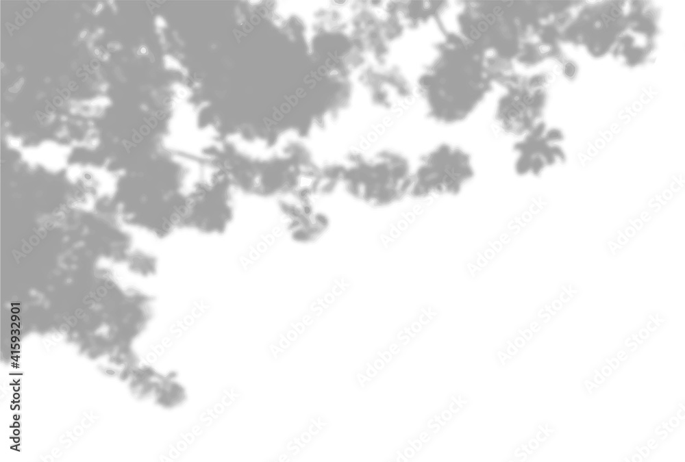 Summer background of plant shadows. Shadow from the leaves and flowers of an Apple tree on the white wall. White and black for superimposing a photo or mockup, Vector