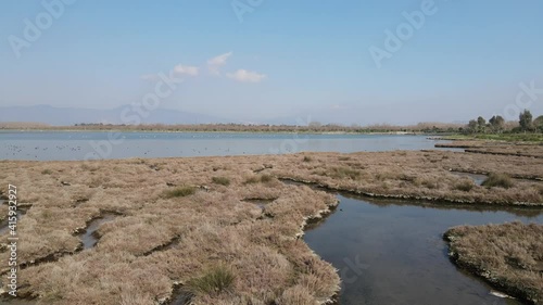 Video image of Çakalburnu Lagoon and Flamingos in İzmir