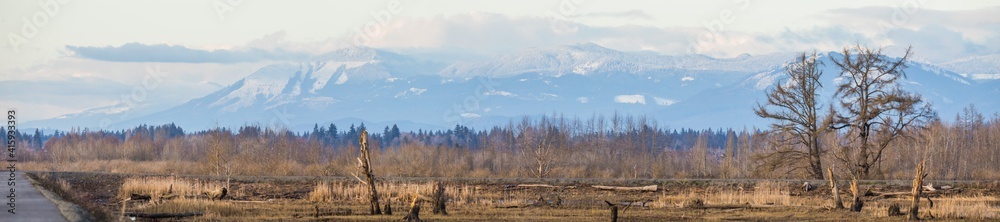 Landscape View of Everett Washington Spencer Island Unit from the Waste Pond Trail