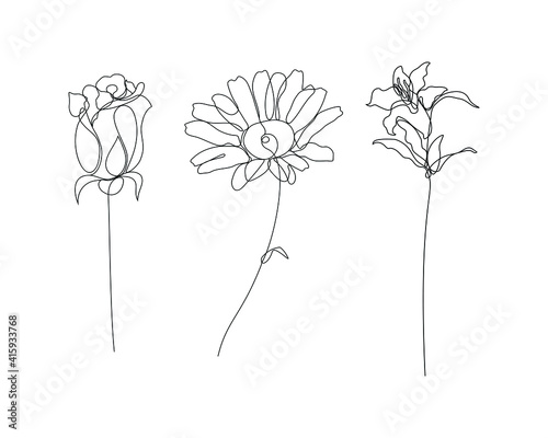 rose, daisy, and lily flowers illustration in one line art style. continuous drawing in vector best used for icon, wall art prints, posters, magazine, postcard, etc.