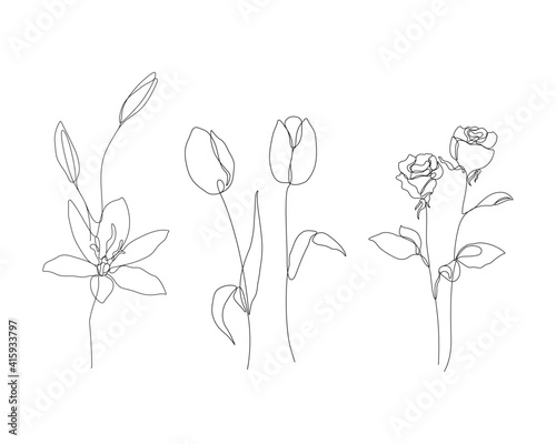 lily, tulip, and rose flowers illustration in one line art style. continuous drawing in vector best used for icon, wall art prints, posters, magazine, postcard, etc.