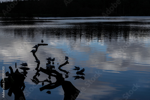 hillsborough lake county down UK photo