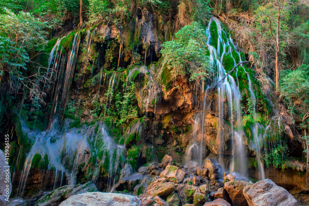 Fototapeta premium El Vergel, toro toro