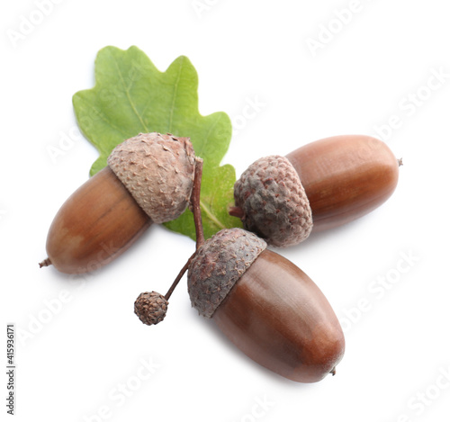 Acorns and oak leaf on white background, top view
