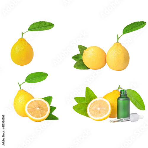 Fresh lemons with leaves. Collection of different on white background of lemon. photo