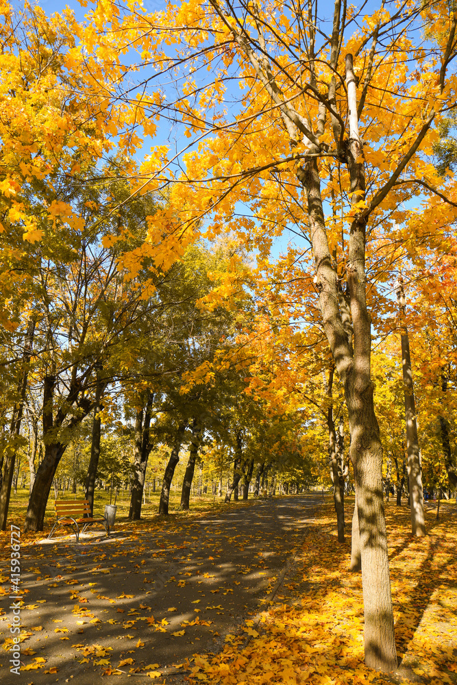 Beautiful view of autumn park on sunny day Beautiful view of autumn park on sunny day