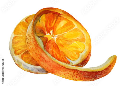 Watercolor citrus fruit orange slice isolated on white background. Hand-drawn food object for menu, sticker, wrapping, card, wallpaper