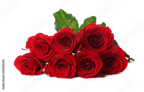 Beautiful red roses on white background. St. Valentine s day celebration