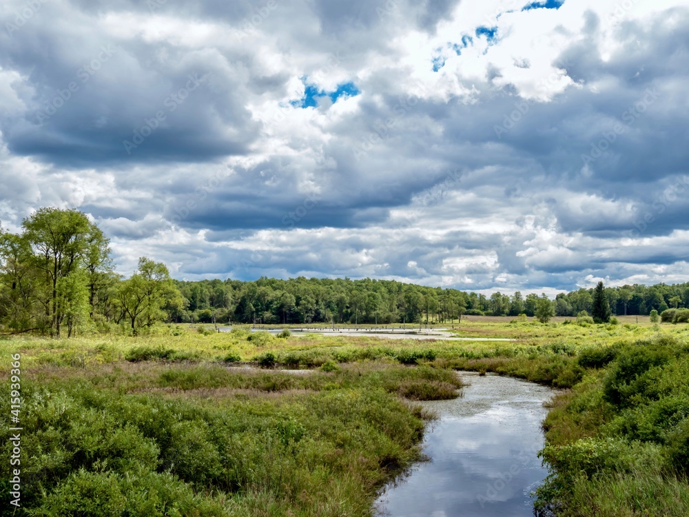 Buzzard’s Swamp in Marienville, Pennsylvania, near Cooks Forest and Clarion, in the summer with a dirt road path leading into the swamp wilderness with a bright blue sky filled with clouds and trees.