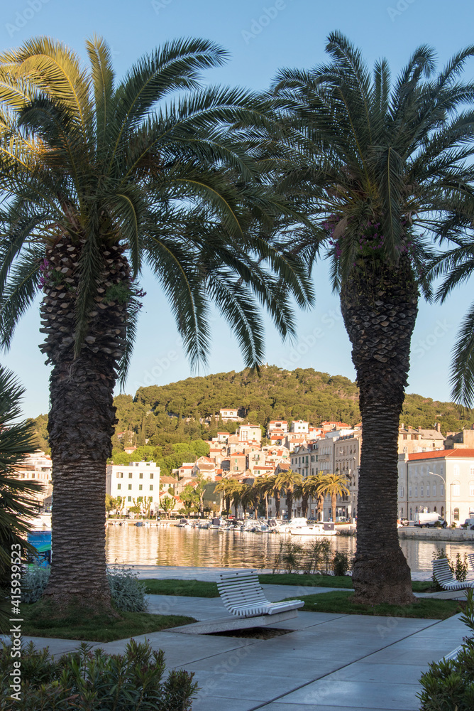 Croatia, Split. Riva palm trees frame Marjan Hill, Fisherman's Port and Veli Varos. Croatia, Split. Riva palm trees frame Marjan Hill, Fisherman's Port and Veli Varos.