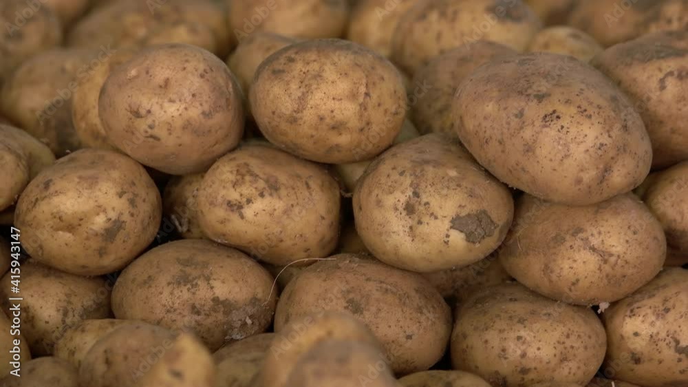 Pile of raw potatoes harvest close up. Detailed view of heap of farm vegetables. Organic farming concept. Pile of raw potatoes harvest close up. Detailed view of heap of farm vegetables. Organic farming concept.