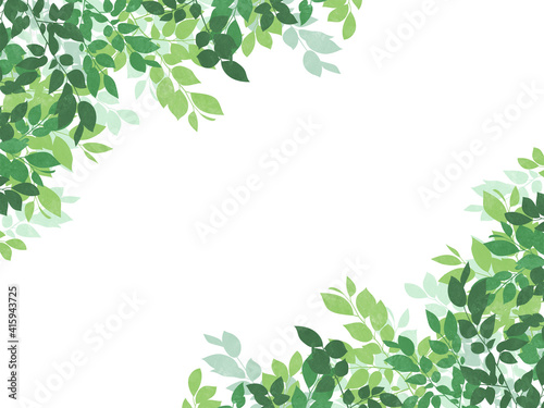 Wallpaper Mural 葉のシルエット　フレーム・装飾（横長） Torontodigital.ca