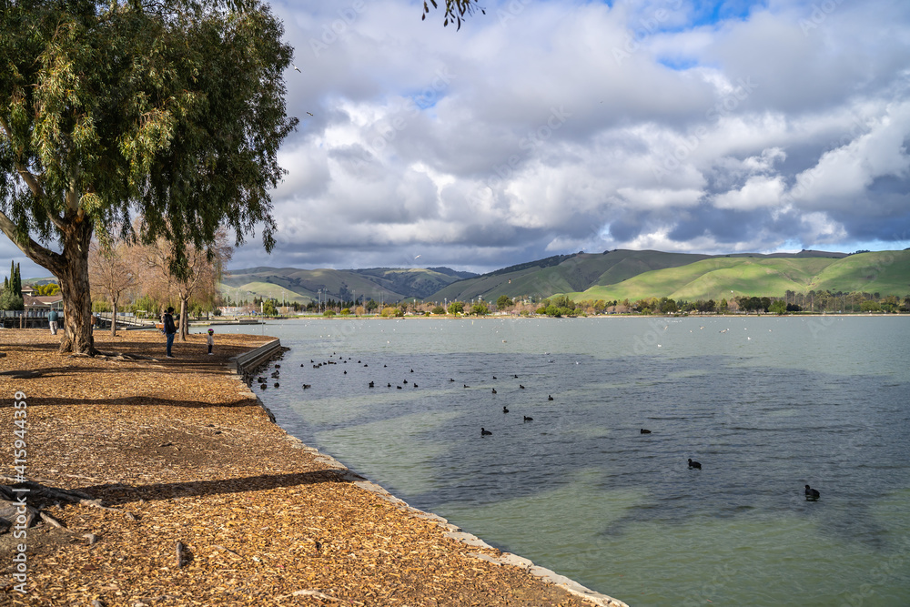 View of the Central Park with lake Elizabeth in Fremont, California