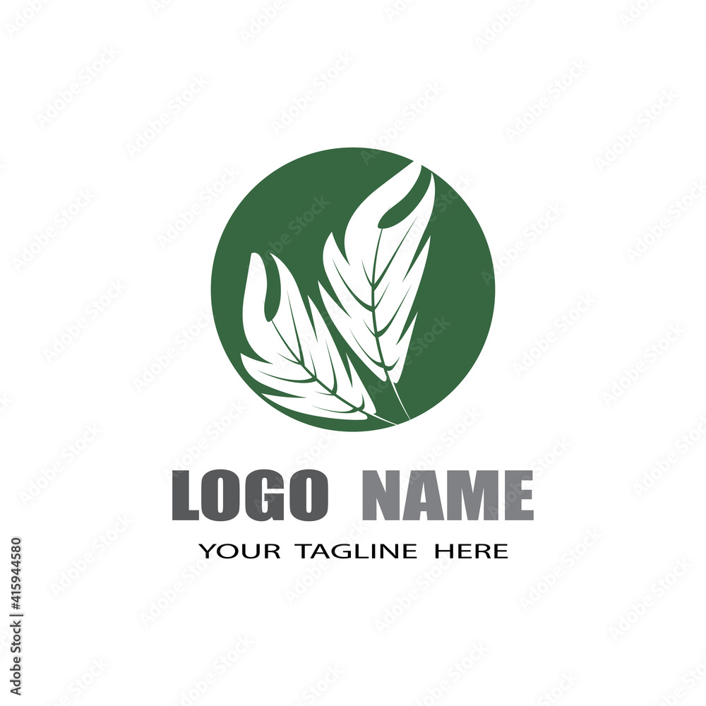 Monstera leaf logo vector design Monstera leaf logo vector design