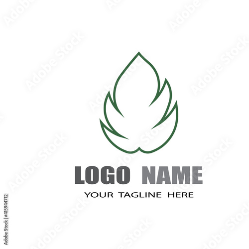 Monstera leaf logo vector design