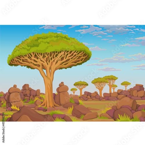 Animation landscape: a dragon blood tree, African valley, the cloudy sky. Vector illustration. 