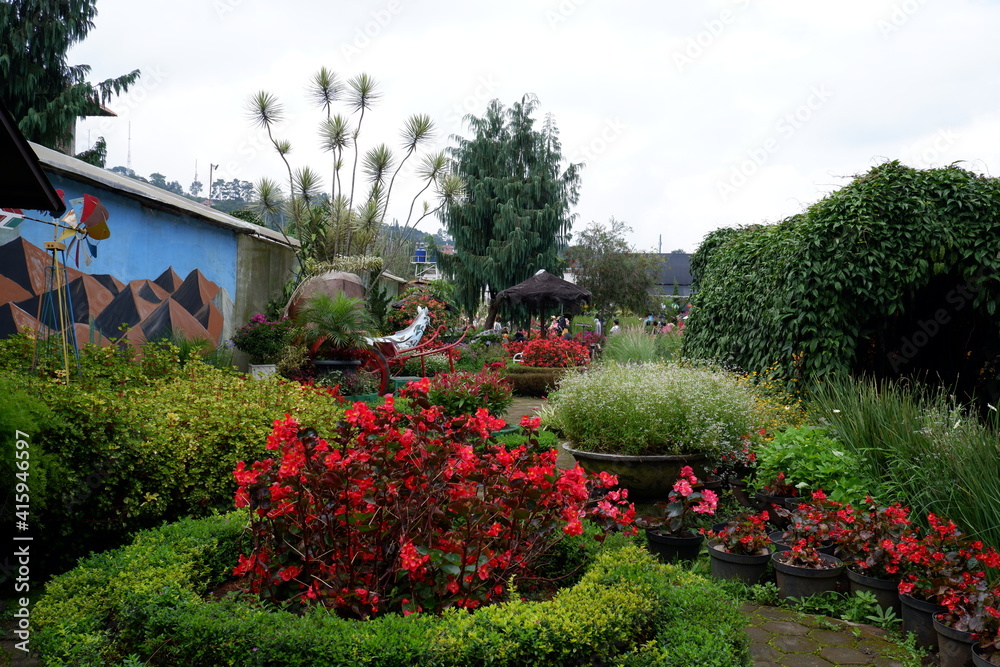 garden with flowers and trees garden with flowers and trees