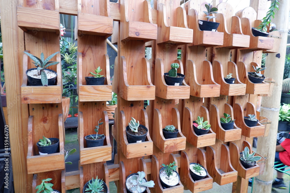 Fototapeta premium PLANTS 