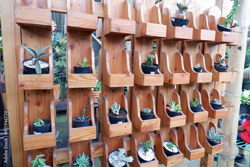PLANTS 