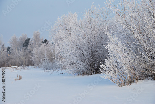 Wallpaper Mural Winter fog in the vicinity of Omsk, Siberia Russia Torontodigital.ca