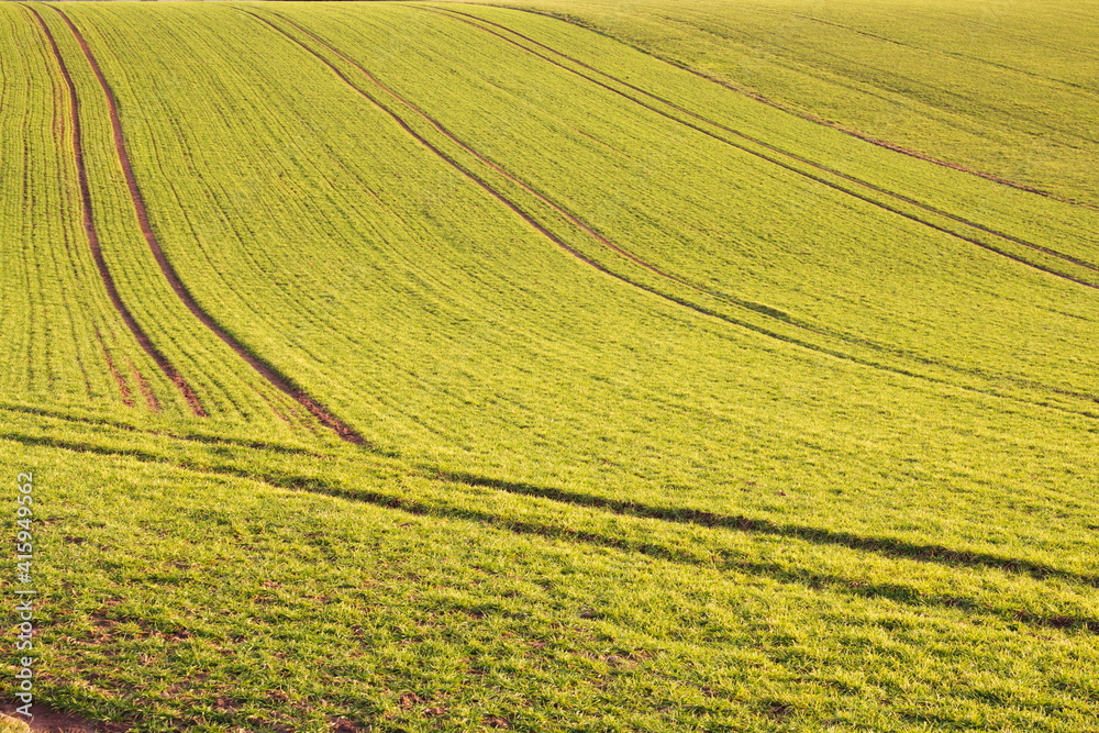 Landwirtschaft im Frühjahr. Nachhaltige Landwirtschaft, gesunde Landwirtschft Landschaftspflege, Landschaftsgestaltung, Biologiesche Landwirtschaft, 