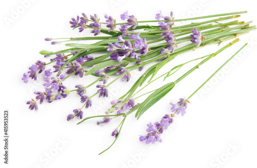 Fototapeta Naklejka Na Ścianę i Meble -  Lavender flowers bundle on a white background