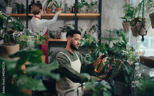 Shop assistants working in indoor potted plant store, small business concept. © Halfpoint