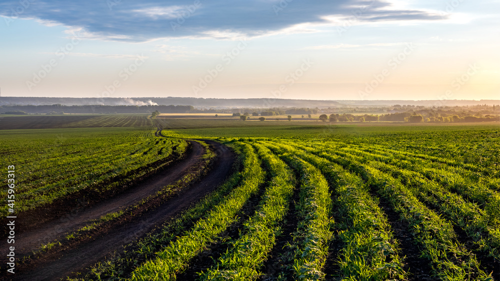 A road that goes off into the distance among the fields