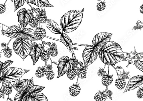 Raspberry or blackberry. Ripe berries on branch. Seamless pattern, background. Graphic drawing, engraving style. Vector illustration on black background.